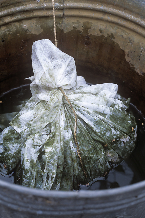 Organic fertiliser Organic fertiliser. Porous bag of comfrey stems  Symphytum officinale  in a container of water. The plants are left in water till they decompose. The resulting liquid is rich in potassium  K  and is used as a fertiliser.
