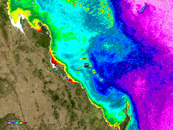 Coral bleaching, Great Barrier Reef Coral bleaching, Great Barrier Reef, Australia, satellite image. Colours show chlorophyll concentrations in the waters around Heron Island  centre , ranging from pink  low  through blue, turquoise, green and yellow to red  high . Coral reefs, seen as the offshore areas of green and yellow  centre and upper centre  expel their chlorophyll containing algae when sea temperatures rise. This causes them to lose their colour and die, and is known as coral bleaching. Red spots show areas of severe coral bleaching. North is at top. The Heron Island inset can be seen in image E690 056. The image area is around 600 kilometres across. The data was obtained in 2005 and 2006 by the MODIS instrument on the Aqua satellite.