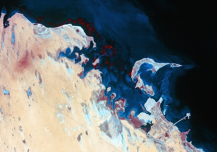 Oil slick in Persian Gulf, 16 February 1991 False colour satellite image of a vast oil slick coming ashore in Saudi Arabia on 16 February 1991. The image was made using the Thematic Mapper  TM  of the Landsat 5 satellite in three wavebands  mid infrared, green and blue. The oil slick is shown as a rust red colour. The slick formed when Iraqi troops in occupied Kuwait released the oil into the Persian Gulf from the Al Fuhayhil oil terminals on 22 January 1991. In this image, the oil has already started to land on the coast near the port of Al Jubayl. In addition to the vast impact on the local ecosystem, the oil threatened the operation of the desalinisation plants, source of much of the country s freshwater supplies.
