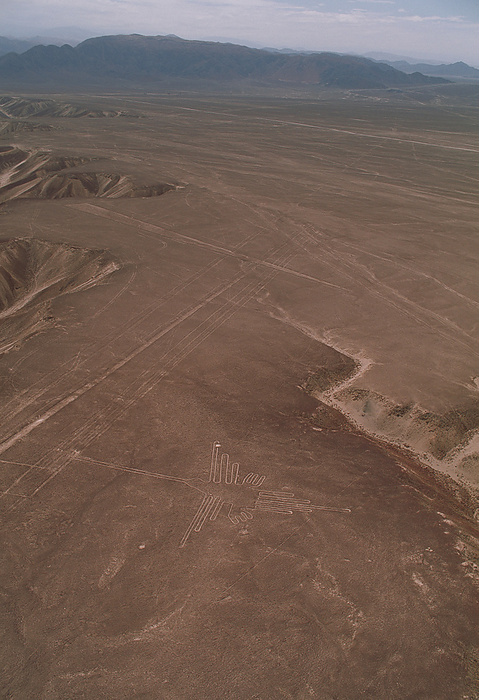 Nazca lines Nazca lines. Aerial photograph of a geoglyph, or landscape drawing, in the coastal desert of southern Peru. This geoglyph  white lines, lower centre  represents a hummingbird. Many of the geoglyphs take the form of stylised animals and other, unknown objects. They cover huge areas and can only be properly seen from the air. They were made by removing the dark surface stone to reveal a lighter stone layer underneath. They are thought to have been made by the Nazca, a native South American people, around 2000 years ago. Theories about the lines have ranged from uses in astronomy  for seasonal agriculture  to ceremonial uses in religion.