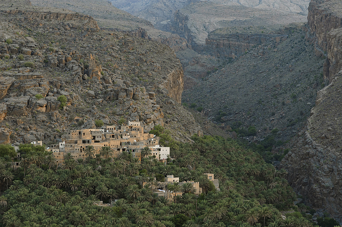 Oman Oasis Western Asia  Arabian Peninsula  Sultanate of Oman  Jebel Akdar Mountains, Misfah. Photo by: Christian Heeb