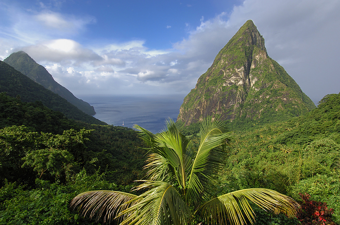 St.Lucia North America  West Indies  Lesser Antilles  Caribbean  St.Lucia  Pitons  Ladera Resort . Photo by: Christian Heeb