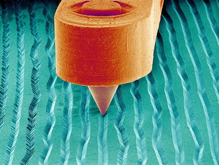Needle playing a record, SEM Needle playing a record. Coloured scanning electron micrograph  SEM  of the needle  stylus  of a record player in a groove on a record. A record is used to store sound. It is produced by a machine with a head which vibrates in time to the sound being recorded. This cuts a groove in the record which varies according to the vibrations. A needle can then reproduce these vibrations as it runs along the groove and these, when amplified, produce the original sound.