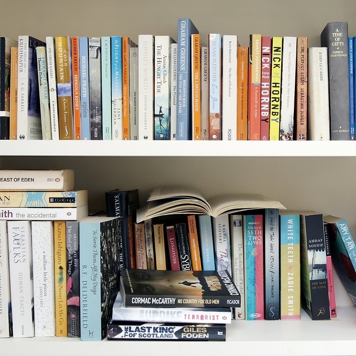 Fiction books Fiction books on a shelf.
