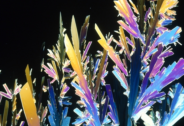 Polarised LM of dextrose crystals Dextrose. Polarised light micrograph of dextrose  glucose  sugar crystals. Magnification: x8 at 35mm size.