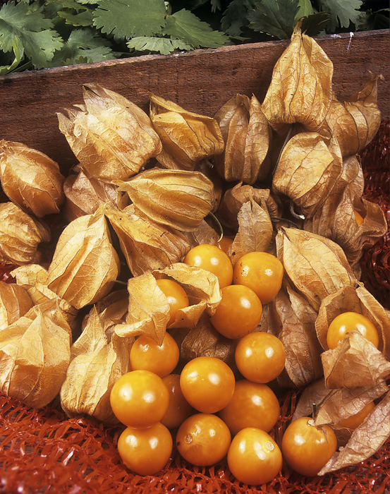 Cape gooseberries Cape gooseberries  Physalis peruviana . This fruit is native to South and Central America.