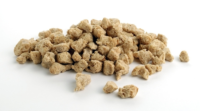 Soya protein chunks. Soya protein chunks. Made from defatted steamed soya beans, they are used as a meat substitute for vegetarian burgers, casseroles, stews, soups and meatballs. They need to be soaked in water or a seasoned sauce to soften before use and are an excellent source of protein, fibre, magnesium and iron.