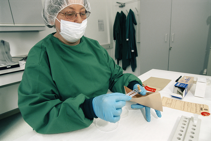 Opening forensic evidence in a lab Forensic evidence. Forensic scientist removing a cigarette butt from a sealed bag of evidence collected at a crime scene. The butt will be analysed to see if traces of DNA from saliva can be found, which could be used to identify the smoker. This can determine whether the smoker was the victim, the perpetrator or was unrelated to the crime.