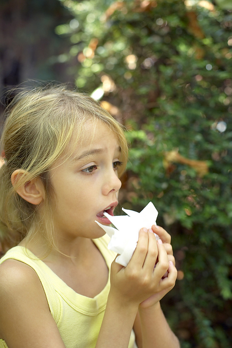 Hayfever MODEL RELEASED. Girl with hayfever blowing her nose. She is eight years old.