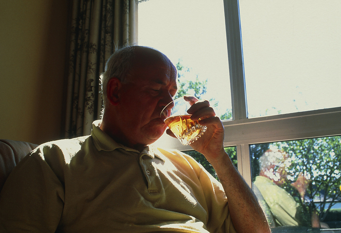 Elderly man drinking alcohol Alcohol consumption. Elderly man having an alcoholic drink. Alcohol is an addictive substance which acts as a depressant on the nervous system, and so reduces anxiety, tension and inhibitions. Dependency on alcohol  alcoholism  is an illness which leads to with  drawal symptoms when drinking is suddenly stopped. Long term and excessive alcohol consumption may cause irreversible damage to the heart, liver, brain and nervous system.
