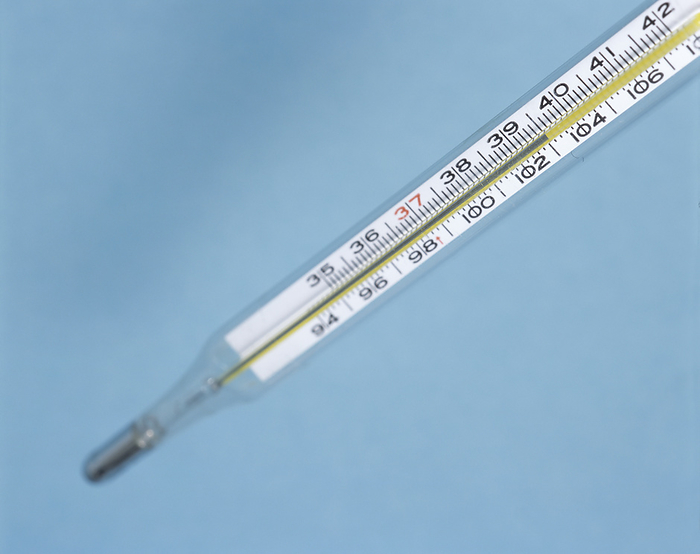 Fever Fever. Mercury thermometer showing a raised temperature of 39.5 degrees Celsius. This indicates a fever. Symptoms include shivering, sweating, thirst and hot skin. Normal body temperature varies between 36 38 degrees Celsius. This thermometer can measure body temperature in the mouth, underarm or rectum. It consists of a sealed narrow bore glass tube with a bulb containing mercury  bottom left . Mercury  grey  inside the tube expands when heated and extends along the scale.
