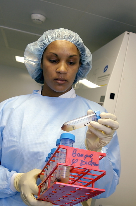 Blood samples MODEL RELEASED. Quality control. A researcher checking the quality of blood samples at the Genethon laboratory, near Paris, France.