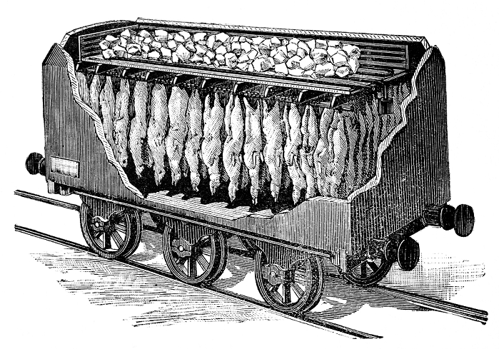 Inventions of the World  Refrigerator  Date unknown  Refrigerated meat railway carriage, 19th century artwork. The carcasses here are mutton and lamb. Artwork from the 5th volume  first period of 1890  of the French popular science weekly  La Science Illustree .