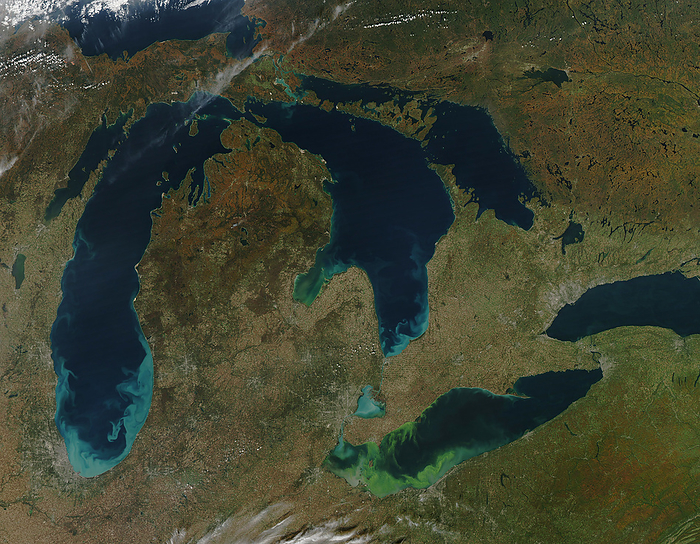 Sediment and algae, Great Lakes, USA, satellite image Satellite image of sediment  light blue  and algae  green , Great Lakes, USA. The algal bloom in Lake Erie  green, bottom centre  was mainly caused by phosphorous runoff from agricultural fertilizer into the lake. Data obtained by the Moderate Resolution Imaging Spectroradiometer  MODIS  on NASA   Aqua satellite on 8th September 2020. Data obtained by the Moderate Resolution Spectroradiometer  MODIS  on NASA   Aqua satellite on 8th September 2020.  , by NASA Jeff Schmaltz SCIENCE PHOTO LIBRARY