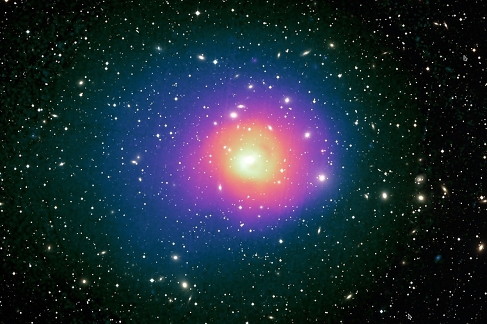 Perseus galaxy cluster, composite image The image combines X ray and optical light observations taken by ESA s XMM Newton   European Photon Imaging Camera  EPIC  and the Digitzed Sky Survey II respectively. The diffuse colored regions represent hot gas at different temperatures which changes with radius, with cooler regions representing hot gas at different temperatures which changes with radius, with cooler regions representing cooler gas at different temperatures. The Perseus cluster contains thousands of galaxies and is one of the most massive objects in the known universe. the known universe. by ESA XMM Newton DSS II J. Sanders et al. 2019 SCIENCE PHOTO LIBRARY