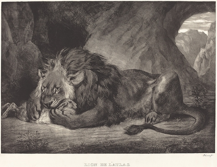 Lion of the Atlas Mountains  Lion de l Atlas , 1829. Creator: Eugene Delacroix. Lion of the Atlas Mountains  Lion de l Atlas , 1829.