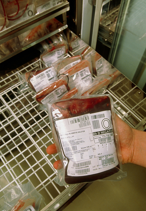 Hand removing a blood bag from a blood bank Blood bank. Hand removing a blood bag from a refrigerated hospital blood bank. Generally, around half a litre of blood is drawn from a donor into a plastic bag containing an anticoagulant to prevent the blood from clotting. The blood is classified according to its group, tested for blood borne diseases, and stored either whole or, as here, separated into its different components. This bag contains group O, Rh  Rhesus  negative red blood cells in an additive solution.