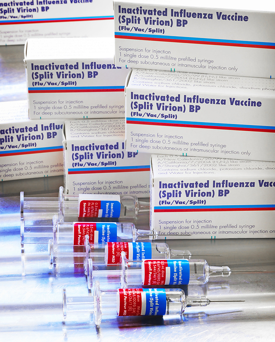 Flu vaccines Influenza vaccine boxes and pre filled syringes. This brand, the Inactivated Influenza Vaccine  Split Virion  BP, is one of the recommended vaccines for the northern hemisphere in the 2005 6 flu season. It contains inactivated virions  virus particles  of three strains of the influenza  flu  virus. When injected, the vaccine stimulates the body s immune system to produce antibodies, but without causing an infection. The immune system can then respond quickly against future infections by the flu virus. The flu vaccine is given to people at risk, such as the elderly and very young. The vaccine is provided annually because the flu virus can produce new strains that the body is not protected against. This vaccine is marketed in the UK by Sanofi Pasteur MSD.