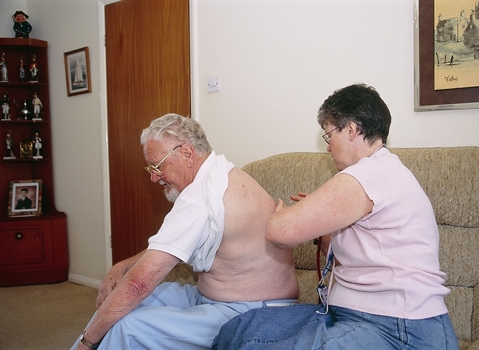Community matron on a home visit MODEL RELEASED. Community matron tapping a 78 year old man s back during a home visit. The man has pulmonary fibrosis, and she is checking to see if he has any lung infections, which alter the sound made by the tapping. Community matrons are senior nurses that coordinate the care of patients with long term conditions.