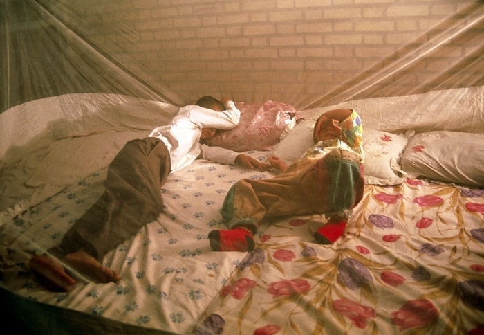 Young boys sleeping under a mosquito net Mosquito net. View of two young boys sleeping under a mosquito net during hot weather. The net may be impregnated with insecticide to increase the amount of protection. Physical barriers are becoming increasingly important in preventing malaria as the malarial parasite becomes resistant to traditional anti malarial drugs. Malaria is caused by a parasitic protozoan carried in the saliva of blood sucking Anopheles mosquitoes. The disease can be fatal. The net also protects against sand flies, whose bite spreads the disease leishmaniasis. Photographed in Iran.