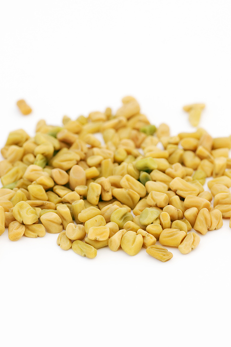 Fenugreek seeds Fenugreek seeds  Trigonella foenum gracecum . This aromatic herb is commonly used as a spice to flavour curries but is also used in herbal medicine for its restorative properties.