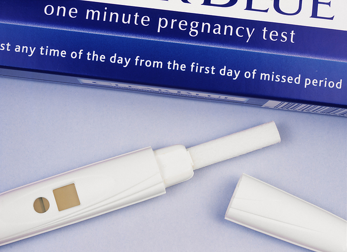 Home pregnancy test Home pregnancy test, negative result. Test stick used to test urine for a hormone produced during a pregnancy. An absorbent tip  centre right  is dipped in a urine sample. Lines  blue  in the result windows show the results. The round window displays a reference line that shows that the test has worked. The absence of a line in the square window shows that human chorionic gonadotrophin  HCG  hormone has not been detected. The HCG hormone is produced by the placenta, the organ that attaches an embryo to the wall of the uterus.