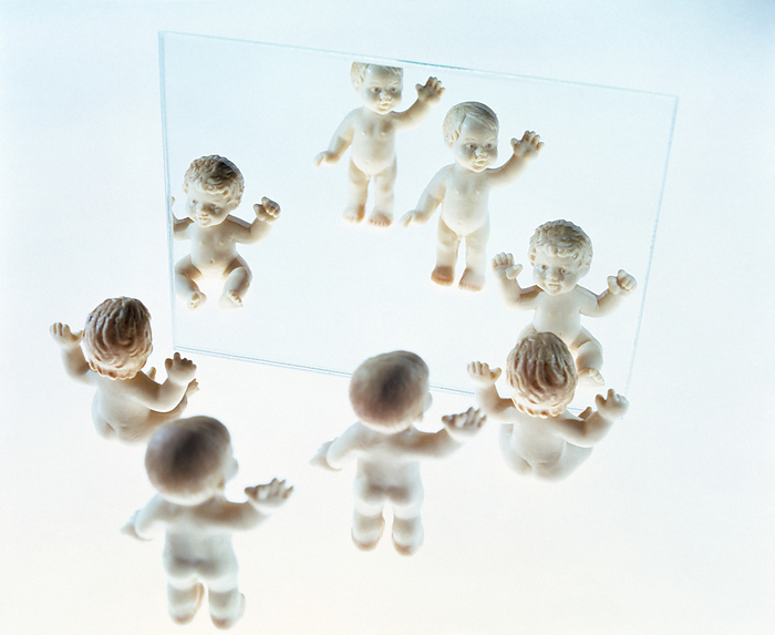 Self recognition Self recognition. Conceptual computer artwork of four young children waving at mirror images of themselves. This could represent child development and the cognitive thought process of self  awareness or self recognition. Young children are able to recognise a mirror reflection at about 4  months old, but do not recognise it as being themselves until they are over 18 months old.