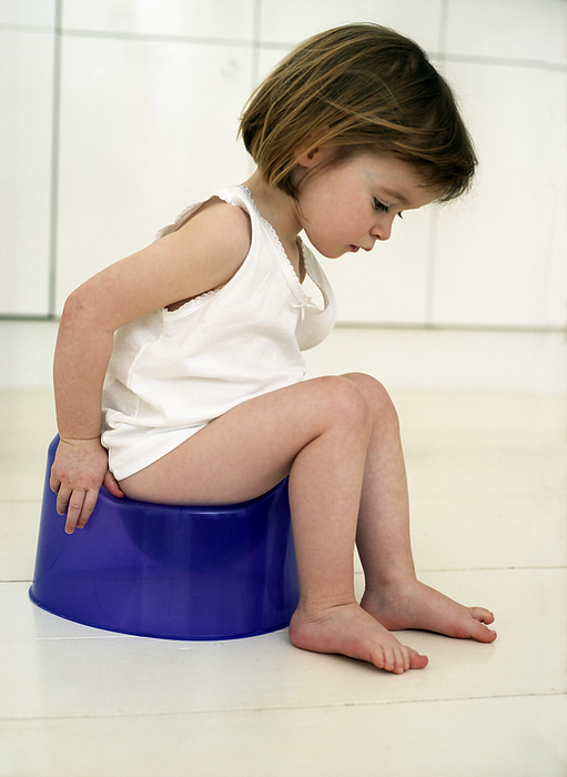 Potty training MODEL RELEASED. Potty training. Two year old girl sits on a pot. Toilet training is usually started around the age of two when a child is able to control its bladder and bowel movements voluntarily.