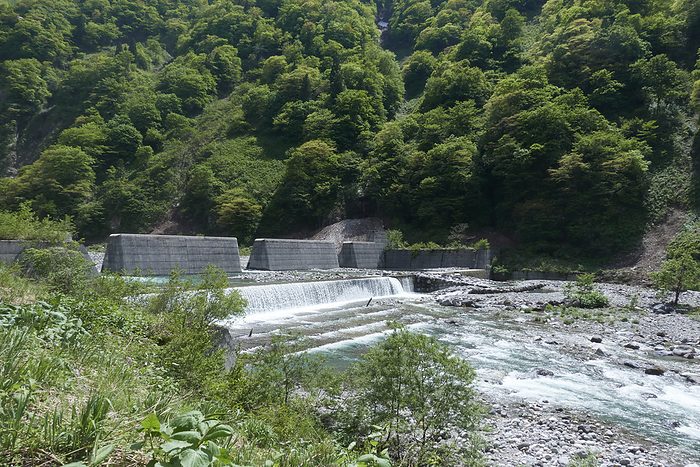 Joganji River Erosion Control Weir, photographed in 2021 May 2021 Toyama City, Toyama   Tateyama Town