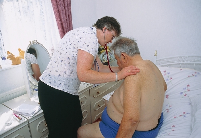 Chest examination during a home visit MODEL RELEASED. Chest examination. Community matron using a stethoscope to listen to a 72 year old man s heart during a home visit. The man collapsed in the morning, and the nurse is checking to see if it could be a heart problem. Community matrons are senior nurses that coordinate the care of patients with long term conditions.