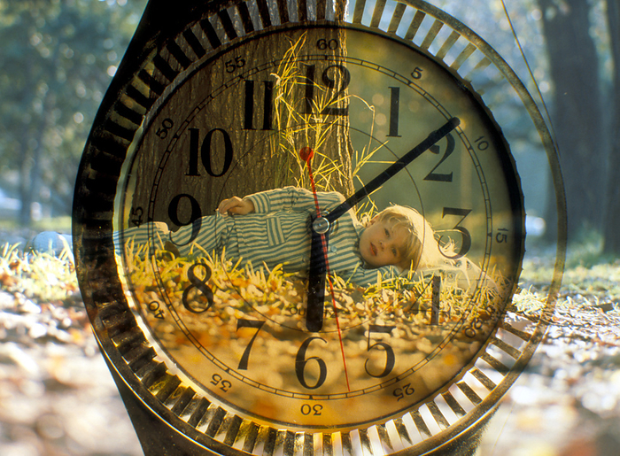Biological clock Biological clock. Conceptual image of a resting boy lying below a tree seen through a watch face, representing the biological clock. Processes such as wakefulness and tiredness are based on a daily or circadian  24 hour  cycle regulated by hormones such as melatonin and cortisol.