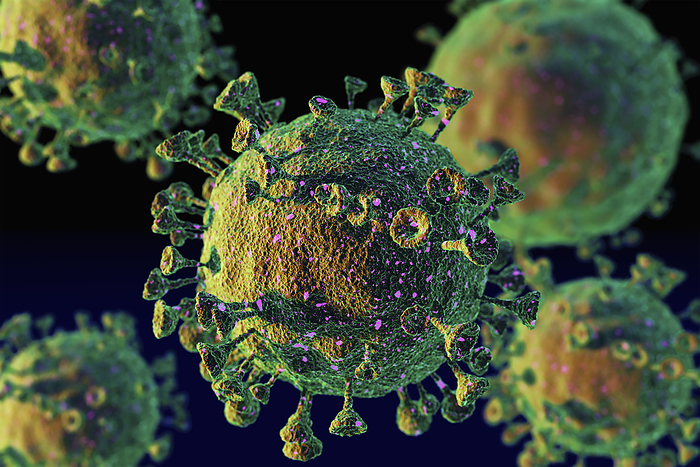 Digitally generated image of?Coronavirus
