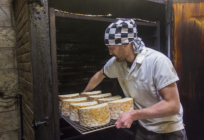 Tom.jpeg, Weald.jpeg Manual worker inserting stilton cheese tray in smokehouse at food factory, Photo by LOUIS CHRISTIAN