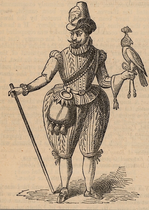 James I of England, VI of Scotland  1566 1625 , in hawking costume holding a hooded bird James I of England, VI of Scotland  1566 1625 , in hawking costume holding a hooded bird. Nineteenth century woodcut based on a contemporary image.