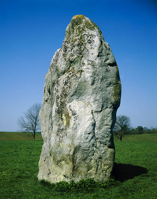Standing stone, part of circle at Avebury A standing stone, part of a circle at Avebury, Wiltshire. The site at Avebury is the largest megalithic construction in the UK, and has been designated a World Heritage Site. There are three concentric stone circles, the largest of which contains 100 boulders. The circles are surrounded by a 427 metre diameter earthwork, with a 9 metre deep ditch and 5 metre high outer bank. A 2.4km  long avenue lined with 100 more stones approaches the site. It is thought that the site was in use between 2,600BC and 1,600BC, and may have had a religious significance.