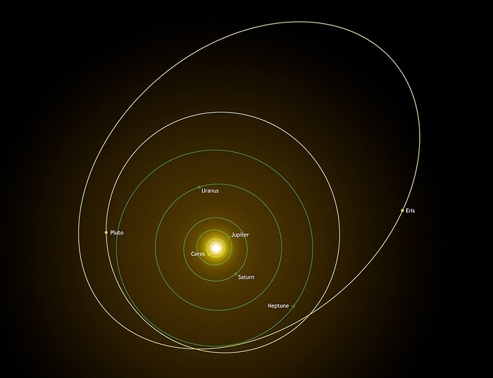 Dwarf planet orbits, Solar System diagram Dwarf planet orbits. Diagram of the Solar System, showing the orbits of the four outer planets  Jupiter, Saturn, Uranus and Neptune, green  and three dwarf planets  yellow . A dwarf planet is an object that fails to dominate its orbit around the Sun  unlike a true planet , but which still has an independent orbit  unlike moons , and is large enough to be spherical due to gravity. The three dwarf planets are: Ceres  in the asteroid belt , and Pluto and Eris  both in the Kuiper Belt . There are numerous candidate dwarf planets in the Kuiper Belt, some of which are shown in image R300 292. For an unlabelled version of this diagram, see image R300 295.