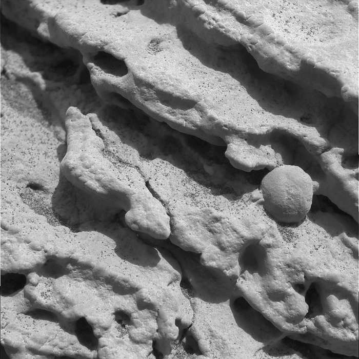 Martian rock Martian rock. Micrograph of a patch of rock on Mars. This is a close up of part of a bedrock outcrop near to where the Mars Exploration Rover Opportunity landed on 24 January 2004. The finely layered rock contains spherical granules  one at centre right , which may have been formed from molten rock sprayed into the air by a volcano or meteorite impact, or by the accretion in water of successive mineral layers around a smaller particle. The spheres are gradually being released from the rock as it is eroded by windblown sand. This 3 centimetre wide image was taken by Opportunity s microscopic imager.