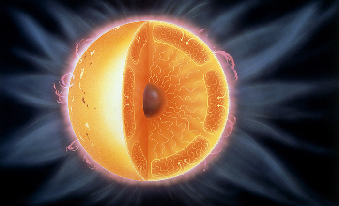 Cutaway of sun, illustration Illustration showing the layers of the Sun. In the centre is the dense core, where fusion reactions are generating energy. Above this is a relatively stable layer where energy is transferred outward by radiation. This in turn is covered by the active layer where the heat transfer is by convection to the surface. The visible surface of the Sun, the photosphere, is only about 400km deep. This is the region of sunspot formation, the bright and dark spots seen toward the left of this image. Above this is the chromosphere, a region inhabited by flares and prominences. Finally, there is the corona which stretches millions of kilometres out into space.