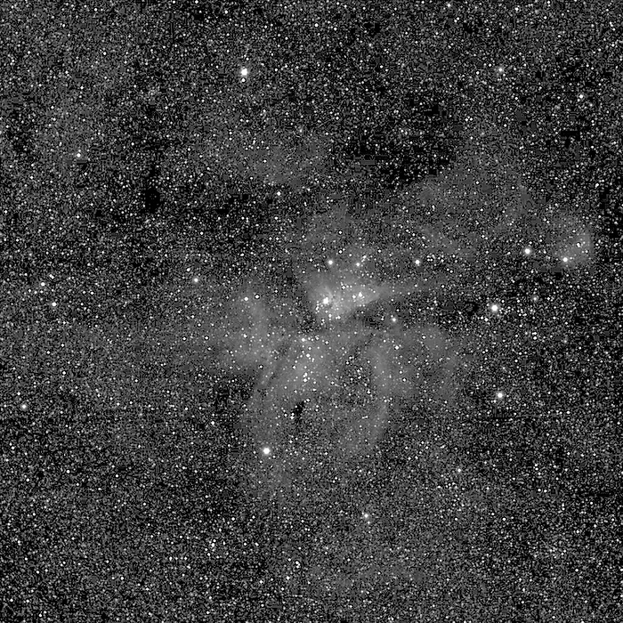 Eta Carinae nebula, Cassini image Eta Carinae nebula, Cassini image. This nebula is a huge cloud of glowing gas and dark dust that surrounds the star Eta Carinae  centre . Eta Carinae is one of the brightest stars known, and is wildly variable. It was the second brightest star in the sky in the mid 1800s, then faded to below naked eye visibility, and is currently  2006  just visible. It is a massive star of some 120 solar masses, and is likely to explode as a supernova in the next few million years. At its distance of around 7500 light years, this should not adversely affect life on Earth, although satellites and spacecraft may be damaged. Image taken by the Cassini spacecraft in orbit around Saturn, on 14th May 2005.