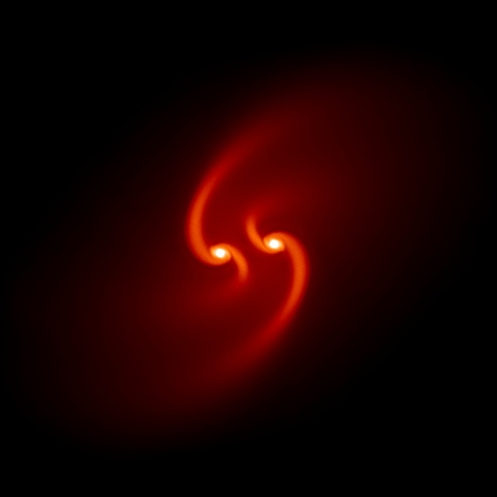 Binary star formation Binary star formation. Image 1 of 6. Supercomputer simulation of a pair of embryonic, or proto stars  white spots , forming in a molecular cloud core surrounded by spiralling clouds of gas  orange to red . Supercomputers help scientists understand how magnetic fields influence star formation. This simulation was run with the components interacting under a relatively low magnetic field. Under these conditions the gas cloud surrounding each molecular core is pulled by gravity to form two separate spirals. The system will eventually fragment to produce more stars. See images R590 144 to R590 149 for the full sequence. In simulations where the magnetic field is high binary stars collapse to form a single star. Simulation produced by Daniel Price, Exeter University, UK.