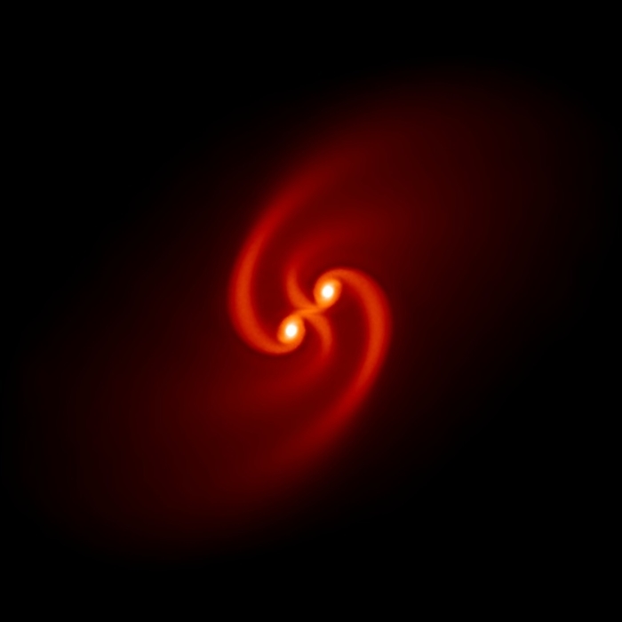 Binary star formation Binary star formation. Image 2 of 6. Supercomputer simulation of a pair of embryonic, or proto stars  white spots , forming in a molecular cloud core surrounded by spiralling clouds of gas  orange to red . Supercomputers help scientists understand how magnetic fields influence star formation. This simulation was run with the components interacting under a relatively low magnetic field. Under these conditions the gas cloud surrounding each molecular core is pulled by gravity to form two separate spirals. The system will eventually fragment to produce more stars. See images R590 144 to R590 149 for the full sequence. In simulations where the magnetic field is high binary stars collapse to form a single star. Simulation produced by Daniel Price, Exeter University, UK.