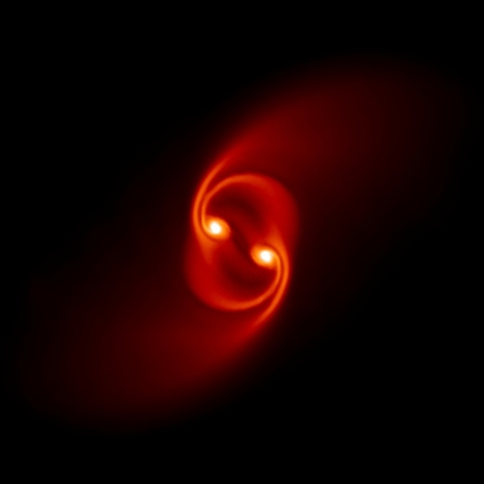 Binary star formation Binary star formation. Image 3 of 6. Supercomputer simulation of a pair of embryonic, or proto stars  white spots , forming in a molecular cloud core surrounded by spiralling clouds of gas  orange to red . Supercomputers help scientists understand how magnetic fields influence star formation. This simulation was run with the components interacting under a relatively low magnetic field. Under these conditions the gas cloud surrounding each molecular core is pulled by gravity to form two separate spirals. The system will eventually fragment to produce more stars. See images R590 144 to R590 149 for the full sequence. In simulations where the magnetic field is high binary stars collapse to form a single star. Simulation produced by Daniel Price, Exeter University, UK.