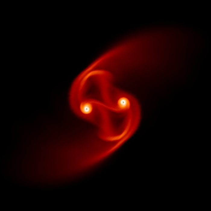 Binary star formation Binary star formation. Image 4 of 6. Supercomputer simulation of a pair of embryonic, or proto stars  white spots , forming in a molecular cloud core surrounded by spiralling clouds of gas  orange to red . Supercomputers help scientists understand how magnetic fields influence star formation. This simulation was run with the components interacting under a relatively low magnetic field. Under these conditions the gas cloud surrounding each molecular core is pulled by gravity to form two separate spirals. The system will eventually fragment to produce more stars. See images R590 144 to R590 149 for the full sequence. In simulations where the magnetic field is high binary stars collapse to form a single star. Simulation produced by Daniel Price, Exeter University, UK.
