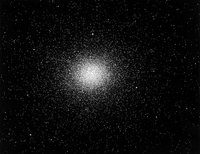 Globular star cluster Optical photo of Omega Centauri  NGC 5139 , one of the largest and brightest globular clusters in the Galaxy. Located 16, 500 light years away, Omega Centauri is 620 light years across and, with an age of 10, 000 million years, is one of the oldest globular clusters known. Globular clusters contain hundreds of thousands of stars and are found in a spherical halo around our Galaxy. Omega Centauri is unusual in that it is slightly elipsoidal whereas most globular clusters are spherical. This 45 minute exposure was taken with the 60 inch Rockerfeller reflector at the Boyden Station of Harvard College Observatory, South Africa.