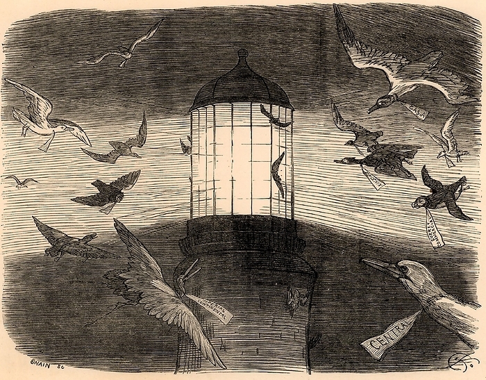 Bird Migration. The lantern of the Eddystone lighthouse built on the Stone 13 miles South-east of Polperro, Cornwall, England, being used to observe migrating birds. This practice began in the Autumn of 1878. The pun on Edison's name in the caption is because in September 1878 Thomas Alva Edison said he would invent a safe, mild and cheap electric light which would supersede gaslight in millions of dwellings. The Eddystone light was oil. Cartoon by Charles Samuel Keene (1823-1891) from 'Punch'.