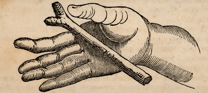 Diving for metals or water (dowsing) using a small forked stick resting on the pal of the hand. This method was not as commonly used as was a longer stick or rod held in both hands, but was used to test the potential power of an individual. Woodcut from 'The Saturday Magazine' (London, 30 July 1836).