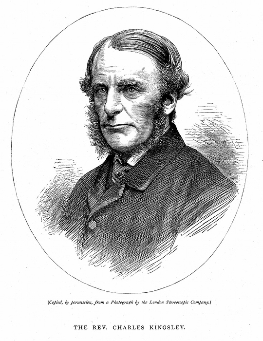 Charles Kingsley (1819-1875) British writer and cleric. Christian Socialist: Muscular Christianity. Believed in possibility of reconciling science and religion. Wood engraving c1880.
