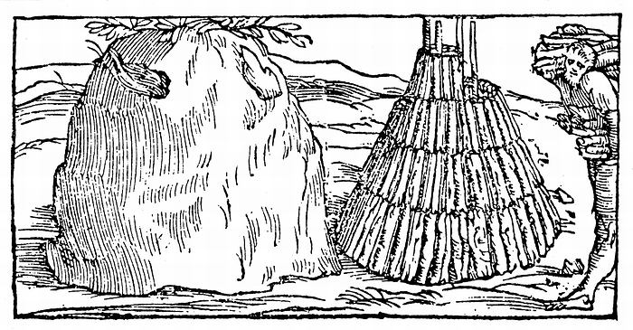 Charcoal burning: Building pyramid of wood (right) to be covered with bracken and earth, then slowly burned (left) to produce charcoal. Superior to charcoal produced in pits. From Biringuccio 'De la Pirotechnia' Venice 1540. Woodcut.