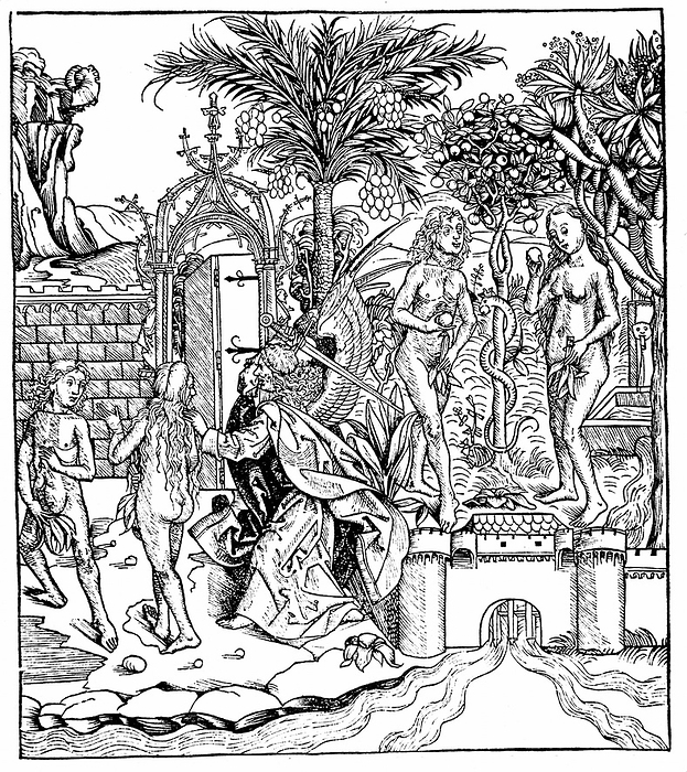 Adam and Eve, tempted by the Serpent, eat from the Tree of Knowledge and are expelled from the Garden of Eden by the Angel of the Lord. Woodcut from Hartmann Schedel 'Liber chronicarum mundi' (Nuremberg Chronicle) Nuremberg, 1493.