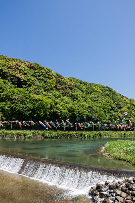 Carp streamers on the Murasaki River, Kokura-minami Ward, Kitakyushu City
